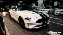 For sale and exchangeable Mustang 50